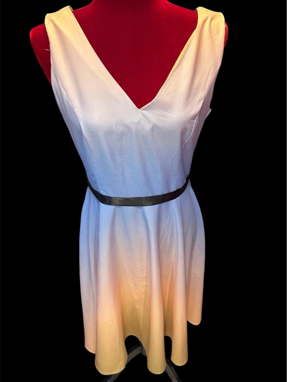 #592.🪷6/$25🪷ombré dress.  Large
